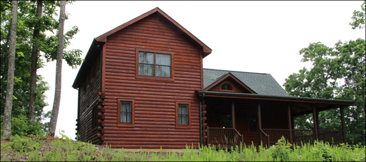 Professional Log Home Borate Application  Pilot Mountain,  North Carolina